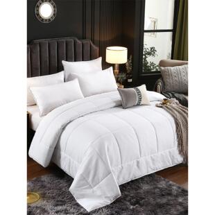 宾馆酒店九孔被冬被丝棉棉被全棉防羽布被子被芯被双人空调夏被