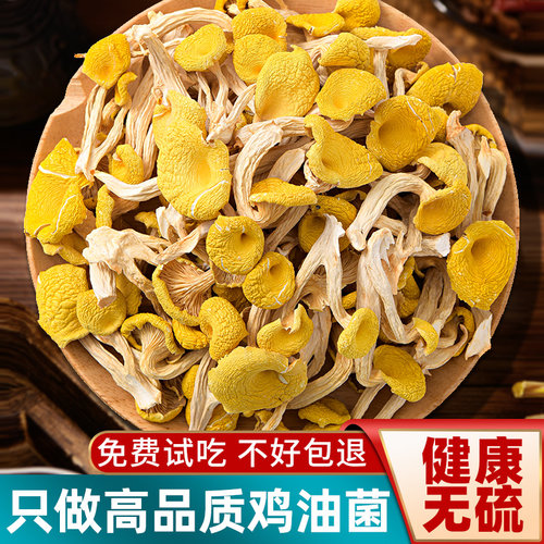 新货鸡油菌干货云南特产蘑菇