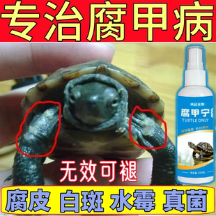 乌龟真菌净龟甲白斑真菌药感染水龟陆龟白点龟背专用发白烂甲腐皮