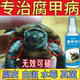 乌龟真菌净龟甲白斑真菌药感染水龟陆龟白点龟背专用发白烂甲腐皮