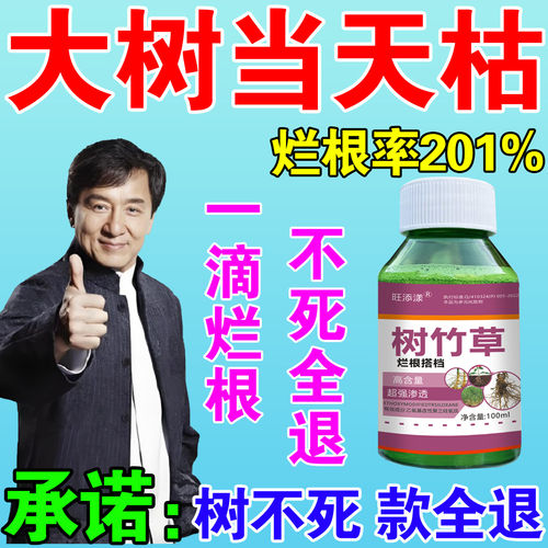 大树腐根枯专用腐树根药死树根的专用腐蚀树强力枯树毒树王腐树根