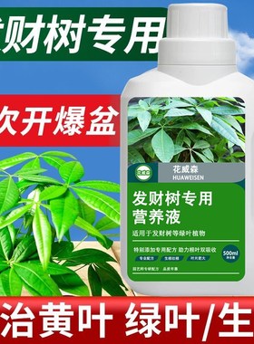 发财树专用营养液肥料专用肥治黄掉叶室内盆栽花卉绿植土水培花肥