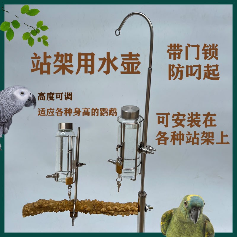 鹦鹉站架水壶 防叼水壶 撞针式 高硼硅玻璃水壶 宠物鸟鹦鹉饮水器