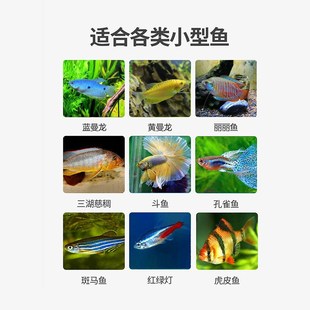 曼龙鱼饲料黄曼龙微粒增艳鱼食蓝曼龙丽丽鱼孔雀鱼小型增色鱼粮