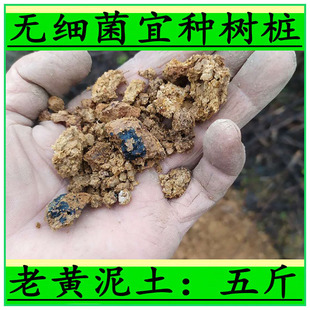 发酵腐熟柳树皮 兰花土 种植料盆景土营养土