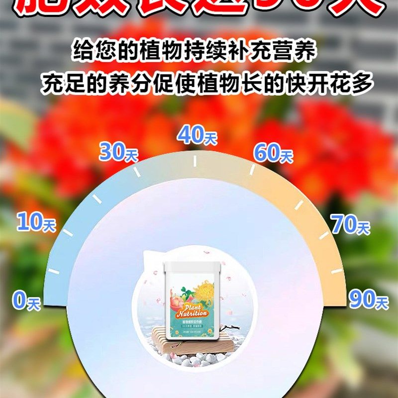 君子兰开花素速效冒花促箭剂植物营养棒缓释肥复合通用家庭养花肥,鲜花速递/花卉仿真/绿植园艺,家庭园艺肥料,淘宝优惠券,粉丝福利购,淘宝优惠卷