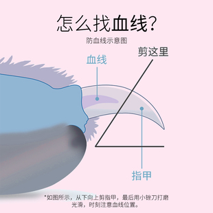 宠物剪指甲剪刀神器钳猫咪狗狗犬用泰迪小型中大型犬修剪专用用品