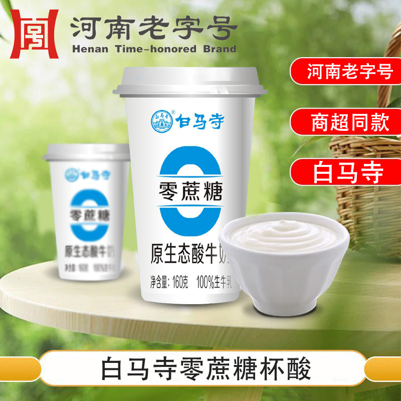 白马寺酸奶杯酸160g零蔗糖酸奶河南老字号酸奶正品保证源地直发图片