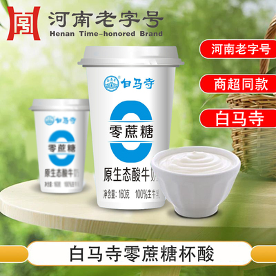 白马寺酸奶杯酸160g零蔗糖酸奶河南老字号酸奶正品保证源地直发