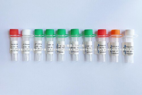 BIOG高产量T7 RNA体外转录试剂盒，超强RNA聚合酶活性,产物纯度高