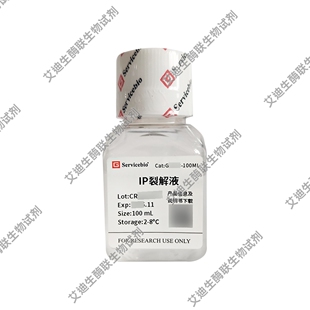 IP裂解液RIPA裂解液(弱)RIPA裂解液(强)动物植物细胞真菌细菌适用