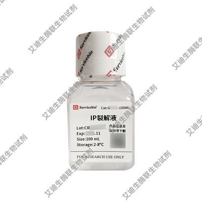 IP裂解液RIPA裂解液(弱)RIPA裂解液(强)动物植物细胞真菌细菌适用