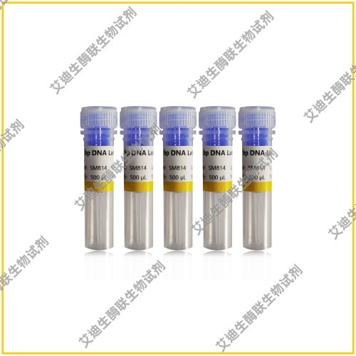 250 bp DNA Ladder独特研发技术/不易降解,条带大小精准/带型清晰
