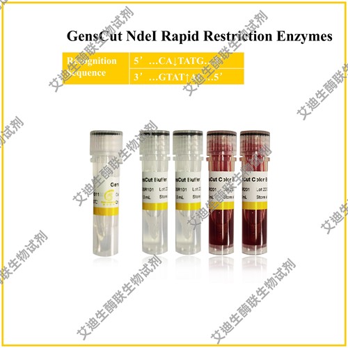 GensCut NdeI 快速限制性内切酶，共用一种缓冲体系,极低星号活性