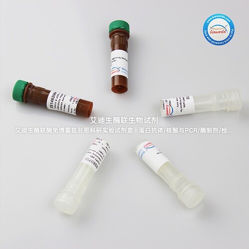 Bioworld凋亡细胞检测产品 细胞增殖及细胞毒性检测试剂盒(CCK-8)