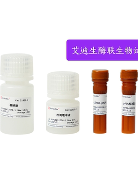 Caspase-9活性检测试剂盒(比色法)ICE-LAP6/Mch6试剂盒，细胞凋亡