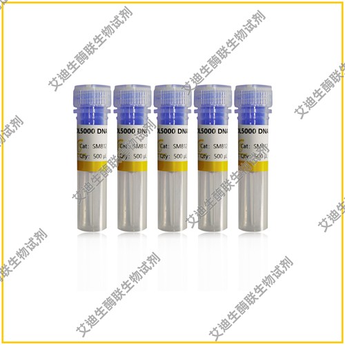 DL5000 DNA Marker独特研发技术/不易降解,条带大小精准/带型清晰