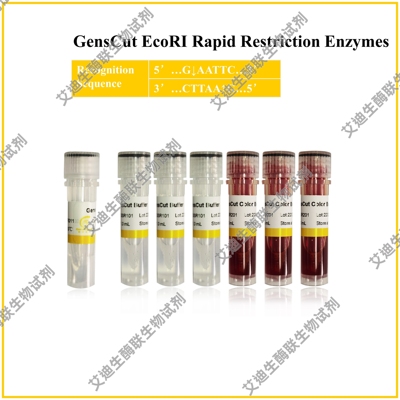 GensCut EcoRI 快速限制性内切酶,共用酶切缓冲体系,极低星号活性