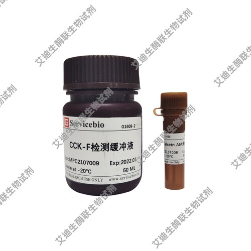 Calcein AM细胞活性检测试剂盒(CCK-F)荧光染色法 活细胞研究分析