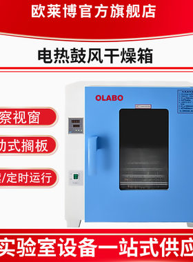 欧莱博DHG-9250A台式电热鼓风干燥箱实验室真空干燥箱 鼓风干燥箱