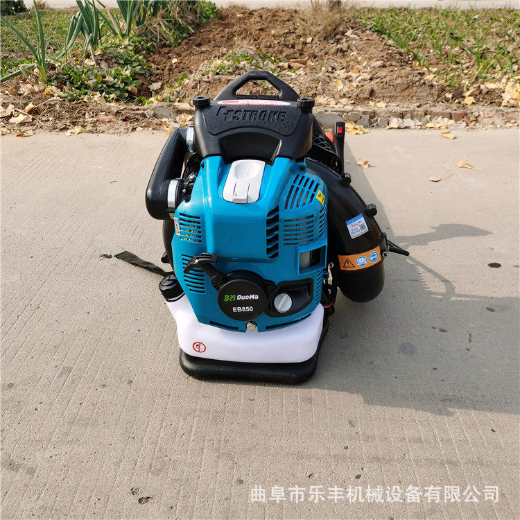 背负式大棚吹雪机 园林路面树叶落叶吹风机 大功率大棚除雪机,农机/农具/农膜,农产品加工设备,淘宝优惠券,粉丝福利购,淘宝优惠卷