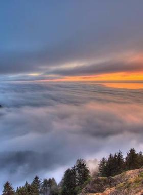 这是一家感情店素材1