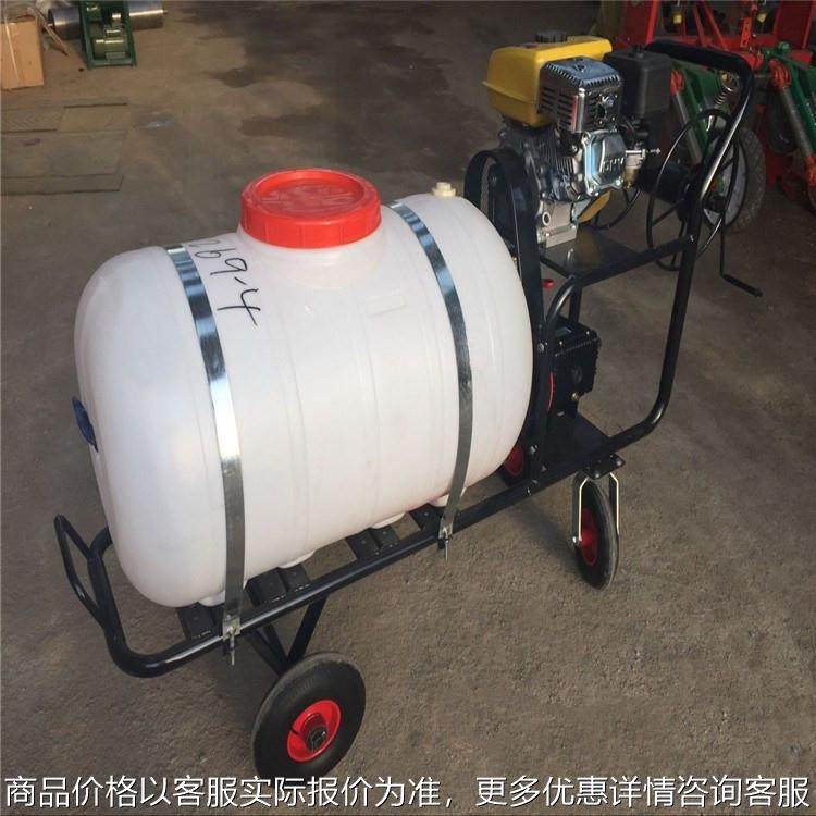 汽油动力手推式打药机 200升高压农用喷雾器 00升消毒打药车,农机/农具/农膜,植保机械,淘宝优惠券,粉丝福利购,淘宝优惠卷