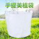 美植袋种植袋加厚植树袋全新料白色无纺布双提手育苗袋营养钵