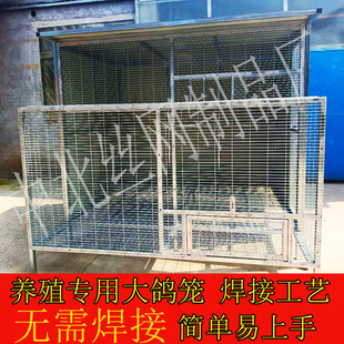 鸽笼家用自由加粗大号鸟笼子鸽舍鸽棚组合 超大型鸽笼鸽舍户外拼装