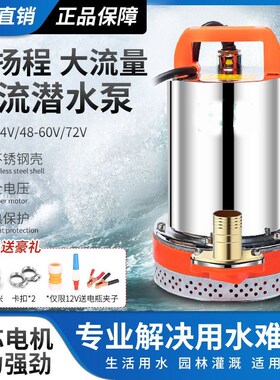 直流潜水泵电瓶抽水泵小型家用农用12VC24V48V60V72V电动车抽水机