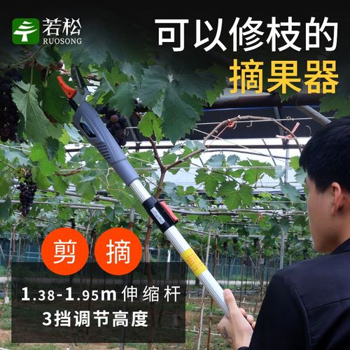 电动摘果剪果园伸缩高枝剪荔枝龙眼修枝剪刀高空T加长摘果器充电