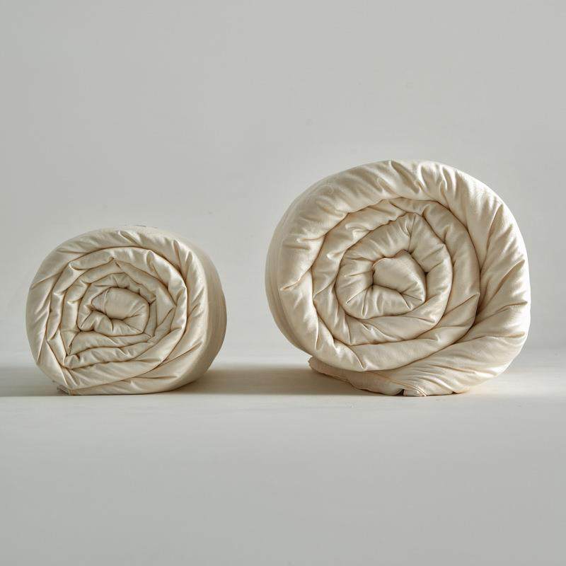 A类母婴李官奇%55大豆纤维冬被纯棉加厚保暖春秋2合一子母薄被子