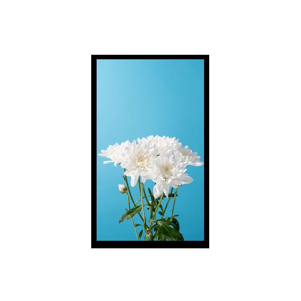 10.1寸LCD液晶显示屏800*1280分辨率MIPI接口IPS全视角运用于平板