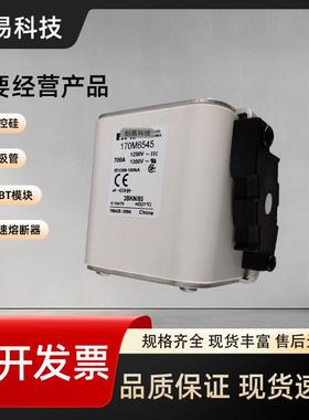 170M6544170M6545170M6546170M6547170M6548170M6549熔断器