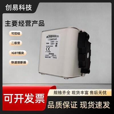 170M6544170M6545170M6546170M6547170M6548170M6549熔断器