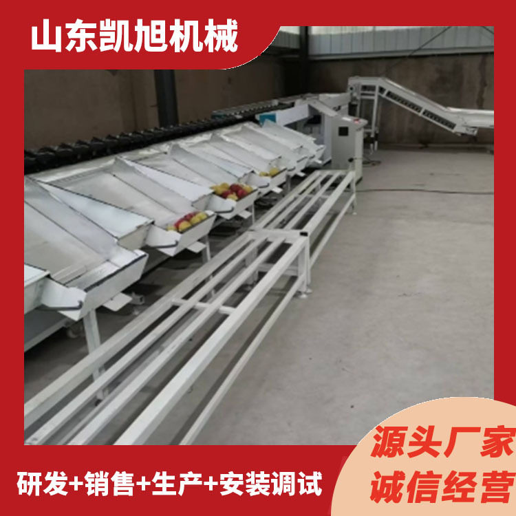 全自动百香果克重分选机 木瓜番石榴大小重量筛选机 凯旭制造
