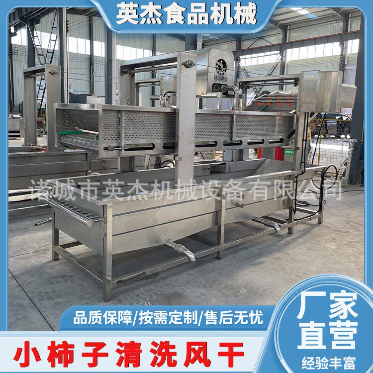 果蔬清洗机 小柿子清洗风干流水线成套设备全套净菜加工清洗流水