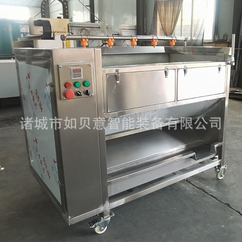 商用木薯去皮清洗机 根茎类果蔬加工设备 莲子核桃毛辊清洗机