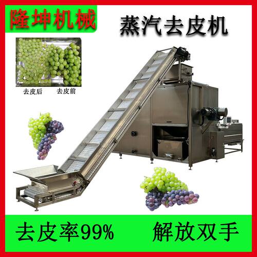 可定制多功能葡萄蒸汽去皮机 全自动番茄蒸汽剥皮机 树柿子脱皮机