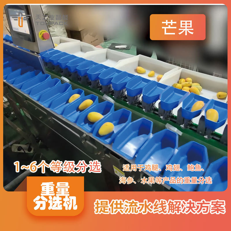 海参扇贝全自动重量分选机2~10等级分选 活鱼虾重量分级机流水线