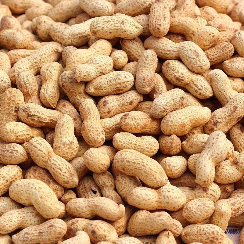 2023新花生现炒原味花生炒熟带壳花生农家铁锅沙土大花生散装批发