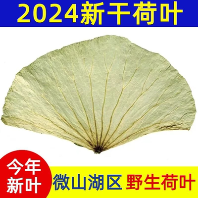荷叶商用大张干荷叶糯米鸡荷叶鸡干荷叶整张批发酒坛荷叶茶荷叶饭