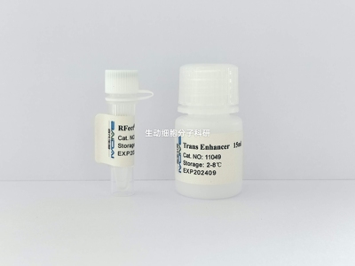 RFectˢᵖ V3 siRNA悬浮细胞转染试剂 可转染200bp内的小分子RNA