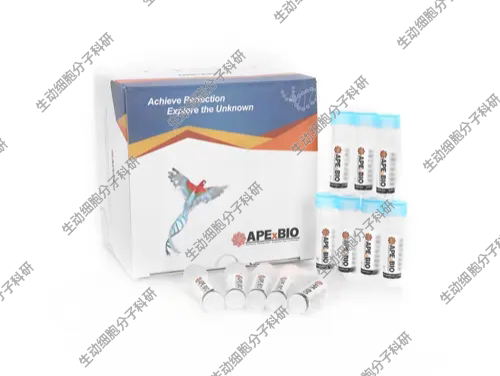 APExBIO Annexin V-APC/DAPI双染细胞凋亡检测试剂盒检测凋亡坏死