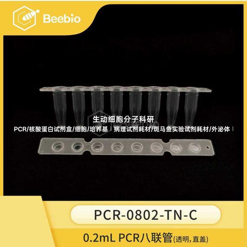 0.2mL薄壁8联PCR管，透明 直排盖，100条/盒，高性价比 PCR八连管