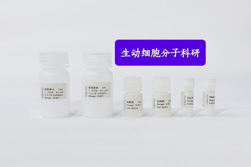 Starvio血浆游离DNA(cfDNA)提取试剂盒，用于提取液体样本游离DNA