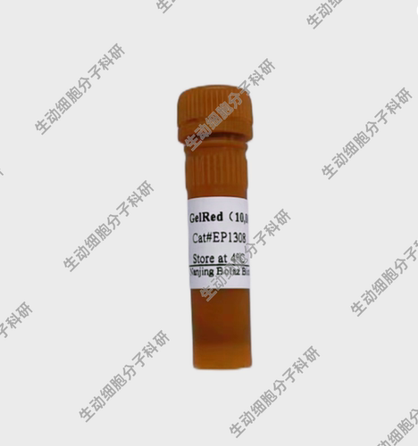 BOLAZ GelRed核酸染料 10000× 适用凝胶电泳dsDNA/ssDNA/RNA染色