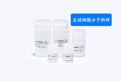 Starvio细胞RNA提取试剂盒 专门用于提取各种细胞样本中基因组RNA