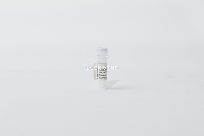 Starvio siRNA转染试剂 用来转染200bp内小分子RNA 适用贴壁细胞