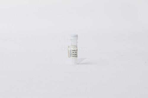 Starvio siRNA转染试剂 用来转染200bp内小分子RNA 适用贴壁细胞